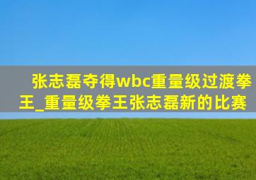 张志磊夺得wbc重量级过渡拳王_重量级拳王张志磊新的比赛