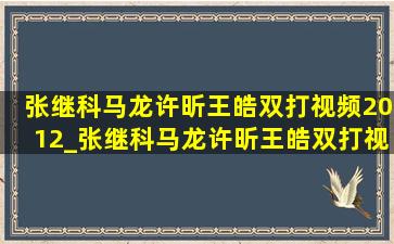 张继科马龙许昕王皓双打视频2012_张继科马龙许昕王皓双打视频