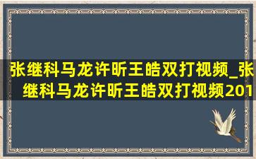 张继科马龙许昕王皓双打视频_张继科马龙许昕王皓双打视频2012