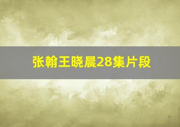 张翰王晓晨28集片段