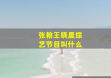 张翰王晓晨综艺节目叫什么