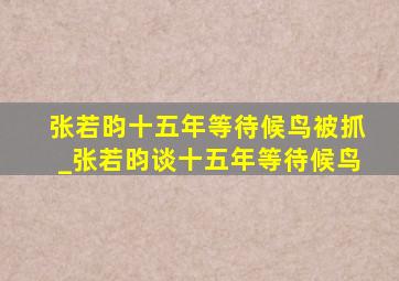 张若昀十五年等待候鸟被抓_张若昀谈十五年等待候鸟