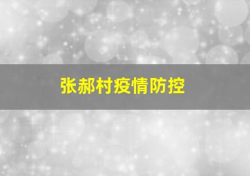 张郝村疫情防控