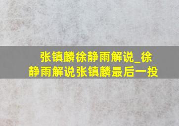 张镇麟徐静雨解说_徐静雨解说张镇麟最后一投