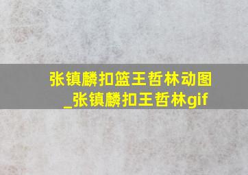 张镇麟扣篮王哲林动图_张镇麟扣王哲林gif