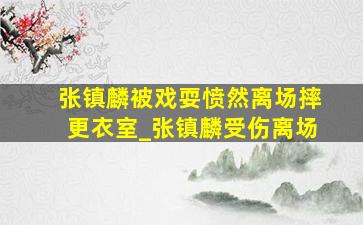 张镇麟被戏耍愤然离场摔更衣室_张镇麟受伤离场