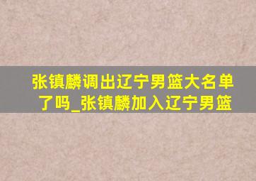 张镇麟调出辽宁男篮大名单了吗_张镇麟加入辽宁男篮