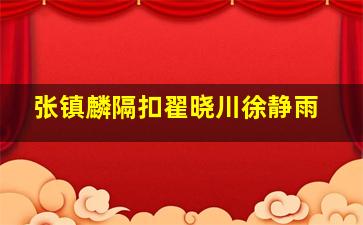 张镇麟隔扣翟晓川徐静雨