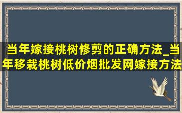 当年嫁接桃树修剪的正确方法_当年移栽桃树(低价烟批发网)嫁接方法