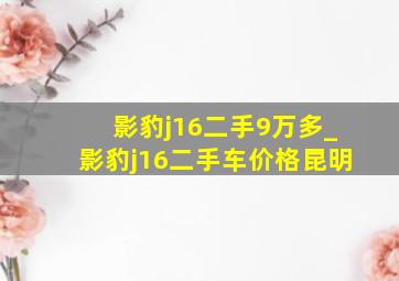 影豹j16二手9万多_影豹j16二手车价格昆明