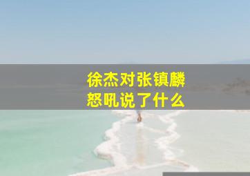 徐杰对张镇麟怒吼说了什么