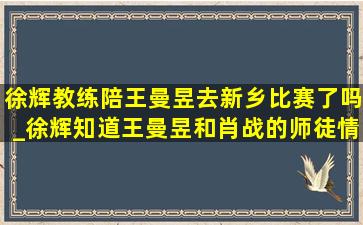 徐辉教练陪王曼昱去新乡比赛了吗_徐辉知道王曼昱和肖战的师徒情吗