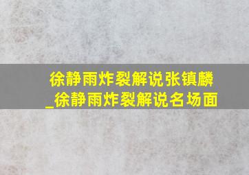 徐静雨炸裂解说张镇麟_徐静雨炸裂解说名场面