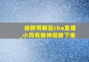 徐静雨解说cba直播_小鸡有精神翅膀下垂