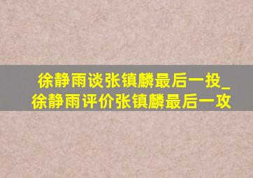 徐静雨谈张镇麟最后一投_徐静雨评价张镇麟最后一攻