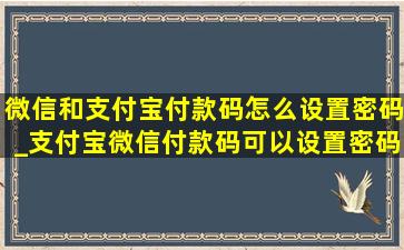 微信和支付宝付款码怎么设置密码_支付宝微信付款码可以设置密码吗