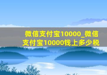 微信支付宝10000_微信支付宝10000钱上多少税