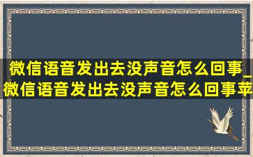 微信语音发出去没声音怎么回事_微信语音发出去没声音怎么回事苹果