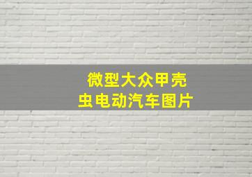 微型大众甲壳虫电动汽车图片