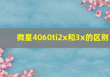 微星4060ti2x和3x的区别