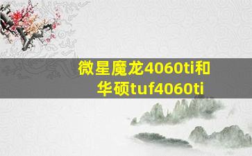 微星魔龙4060ti和华硕tuf4060ti