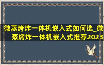 微蒸烤炸一体机嵌入式如何选_微蒸烤炸一体机嵌入式推荐2023