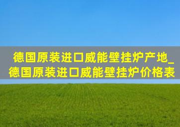 德国原装进口威能壁挂炉产地_德国原装进口威能壁挂炉价格表