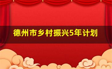 德州市乡村振兴5年计划