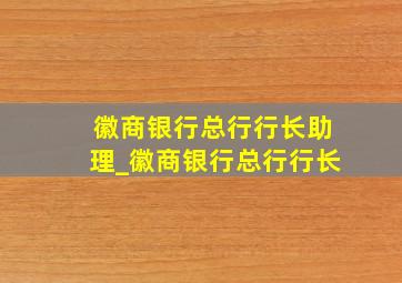 徽商银行总行行长助理_徽商银行总行行长