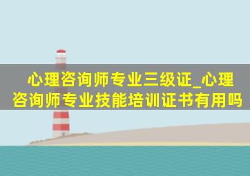 心理咨询师专业三级证_心理咨询师专业技能培训证书有用吗