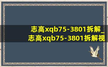 志高xqb75-3801拆解_志高xqb75-3801拆解视频