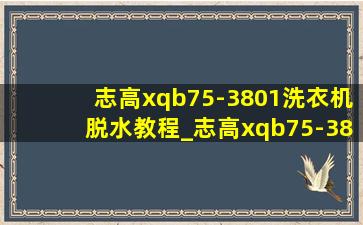 志高xqb75-3801洗衣机脱水教程_志高xqb75-3801洗衣机脱水