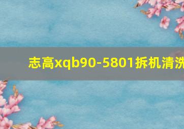 志高xqb90-5801拆机清洗