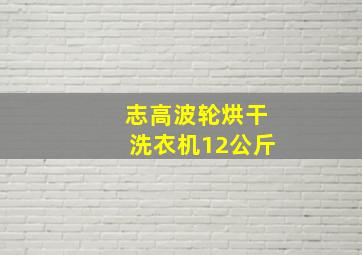 志高波轮烘干洗衣机12公斤