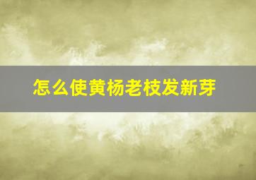 怎么使黄杨老枝发新芽