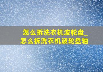 怎么拆洗衣机波轮盘_怎么拆洗衣机波轮盘轴