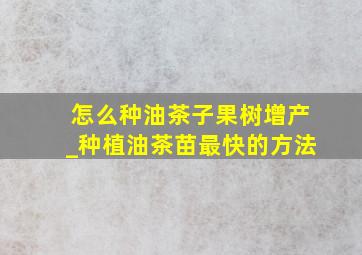 怎么种油茶子果树增产_种植油茶苗最快的方法