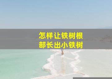 怎样让铁树根部长出小铁树