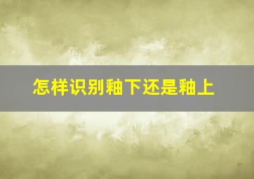 怎样识别釉下还是釉上