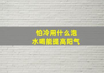 怕冷用什么泡水喝能提高阳气