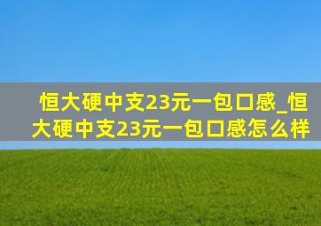 恒大硬中支23元一包口感_恒大硬中支23元一包口感怎么样