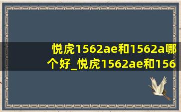 悦虎1562ae和1562a哪个好_悦虎1562ae和1562a选哪个