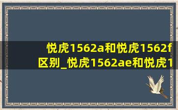 悦虎1562a和悦虎1562f区别_悦虎1562ae和悦虎1562f音质对比