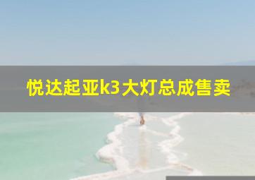 悦达起亚k3大灯总成售卖