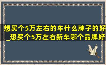 想买个5万左右的车什么牌子的好_想买个5万左右新车哪个品牌好