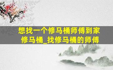 想找一个修马桶师傅到家修马桶_找修马桶的师傅