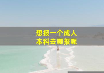 想报一个成人本科去哪报呢