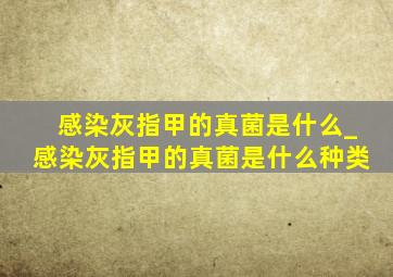 感染灰指甲的真菌是什么_感染灰指甲的真菌是什么种类