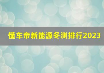 懂车帝新能源冬测排行2023