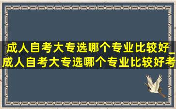 成人自考大专选哪个专业比较好_成人自考大专选哪个专业比较好考